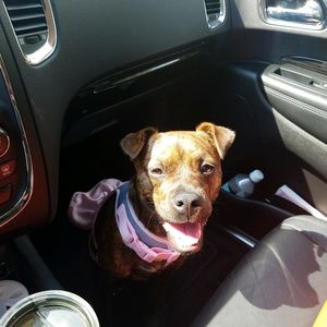 Meet your Posher, Lizette